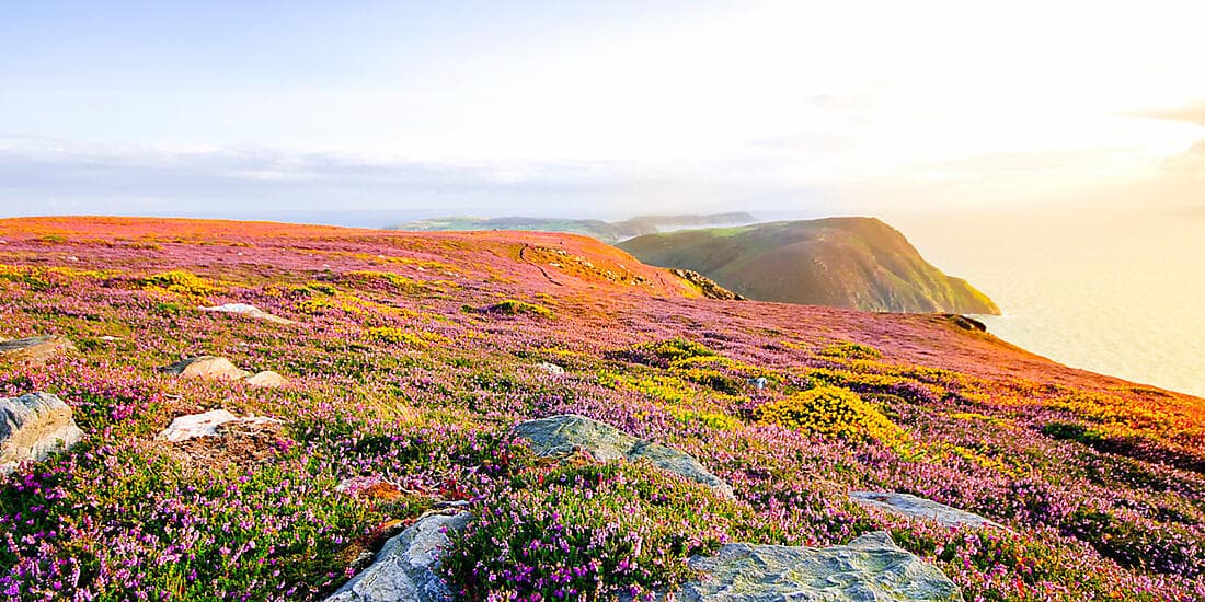 Merveilles des rivages celtes