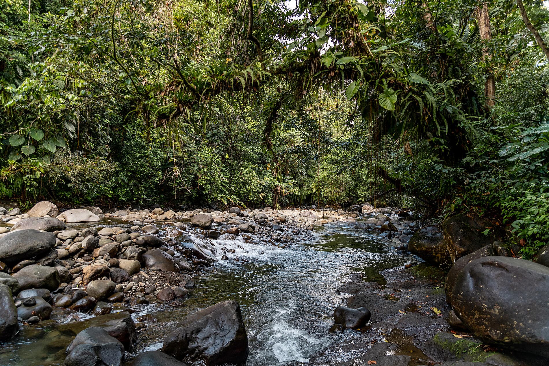Escapade gastronomique dans les Caraïbes 