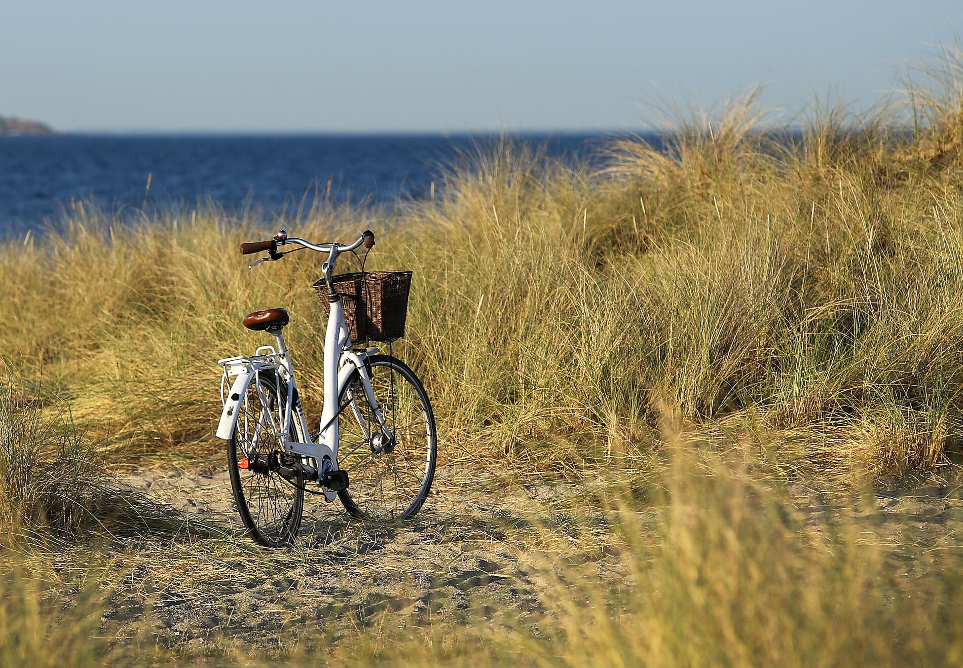 L'été au vert, le long du Golfe de Gascogne et de la péninsule ibérique