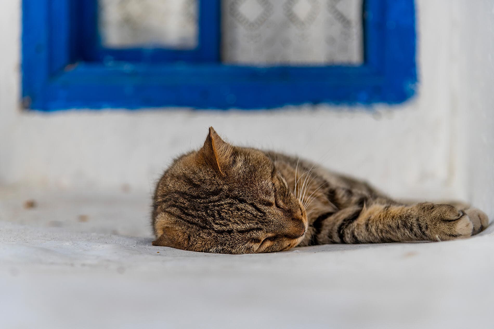 Le Ponant d'île en île, d'Athènes à Dubrovnik 
