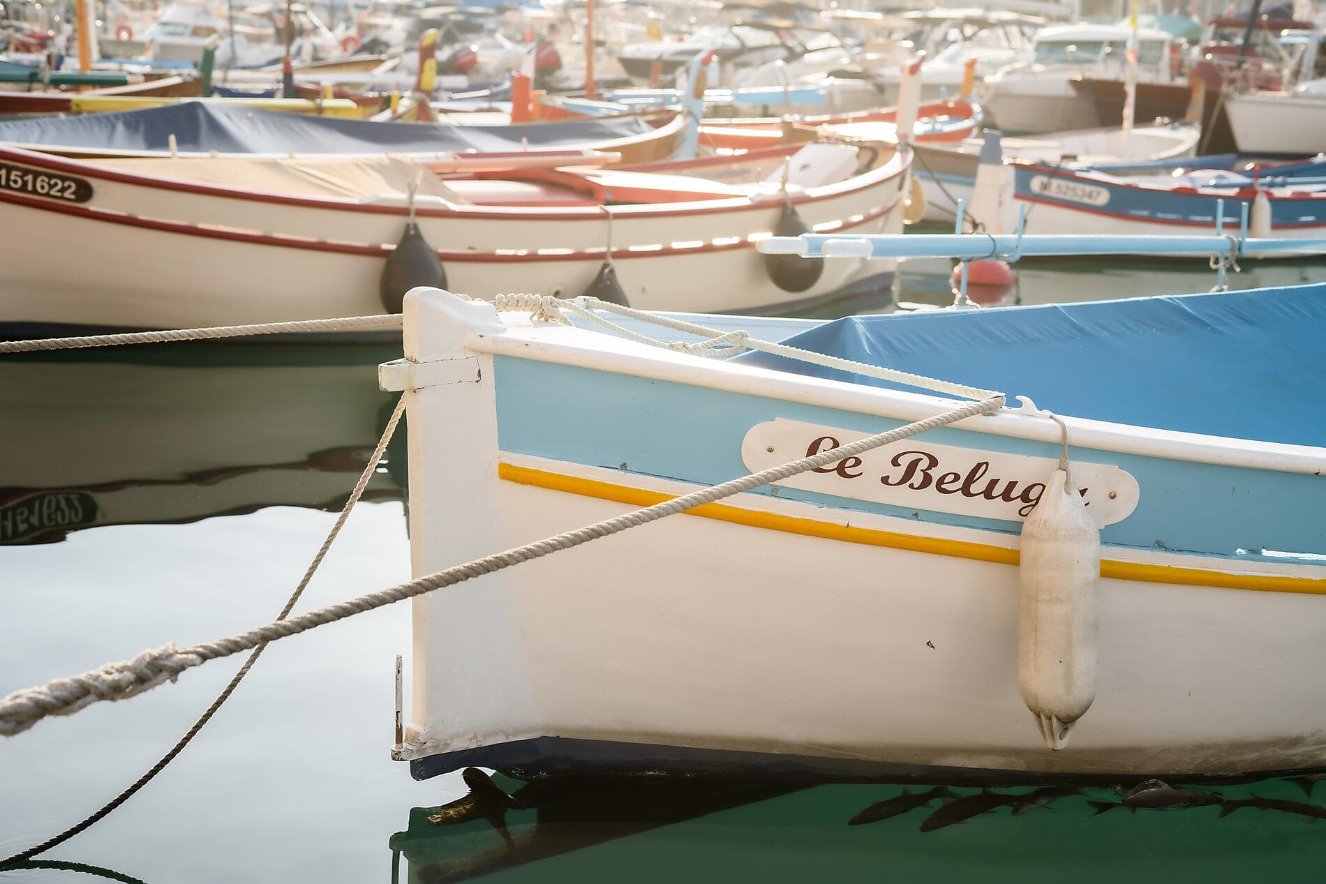 Île de Beauté et rivages ibériques 