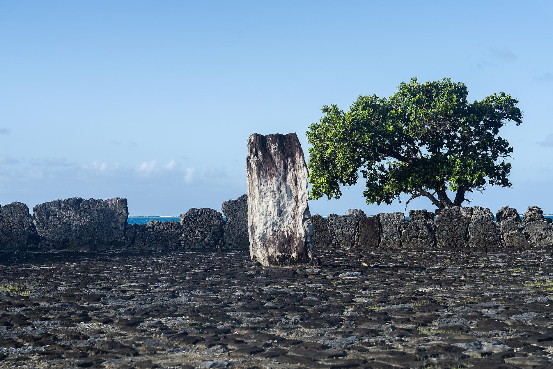 Perles des îles de la Société