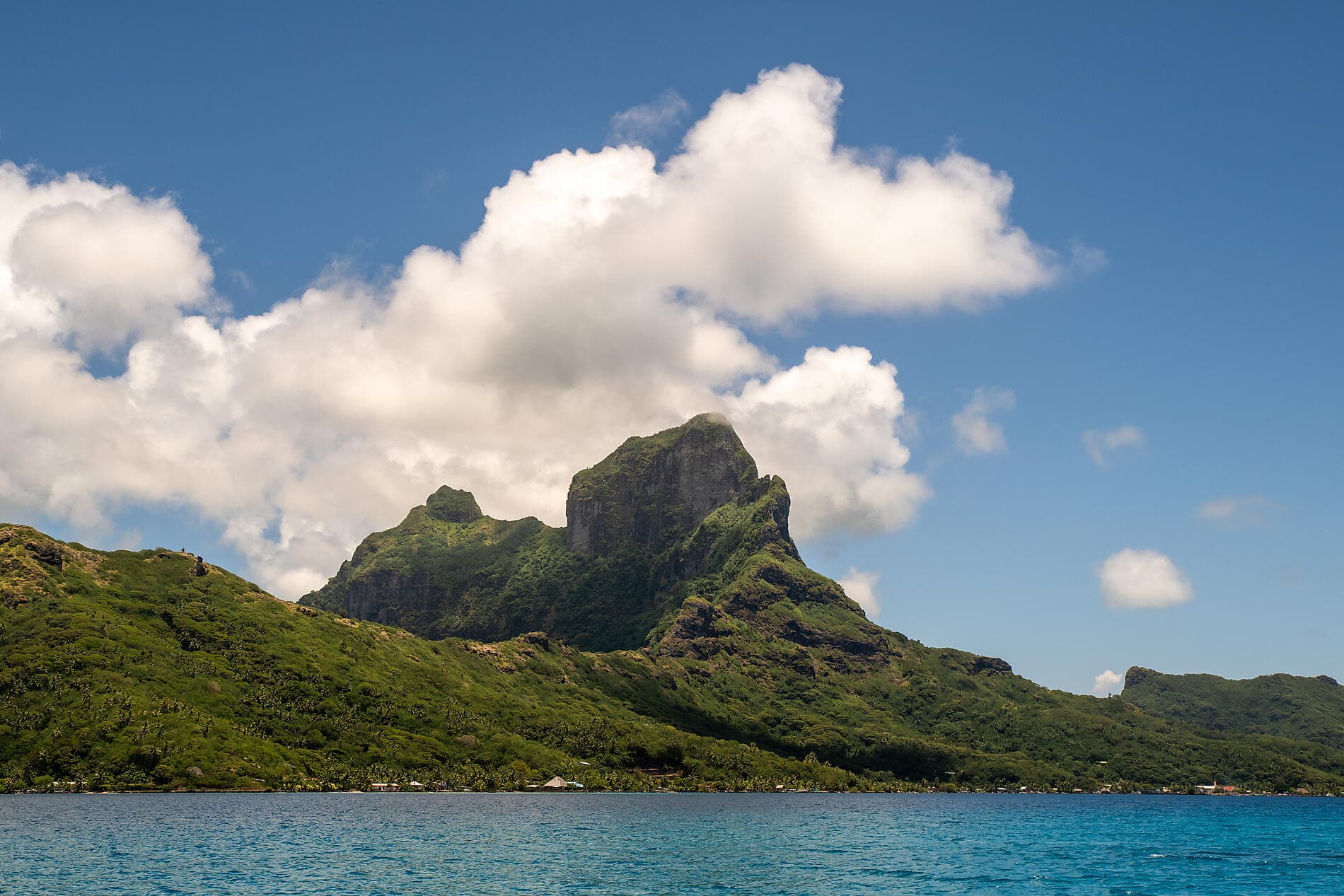 Perles des îles de la Société