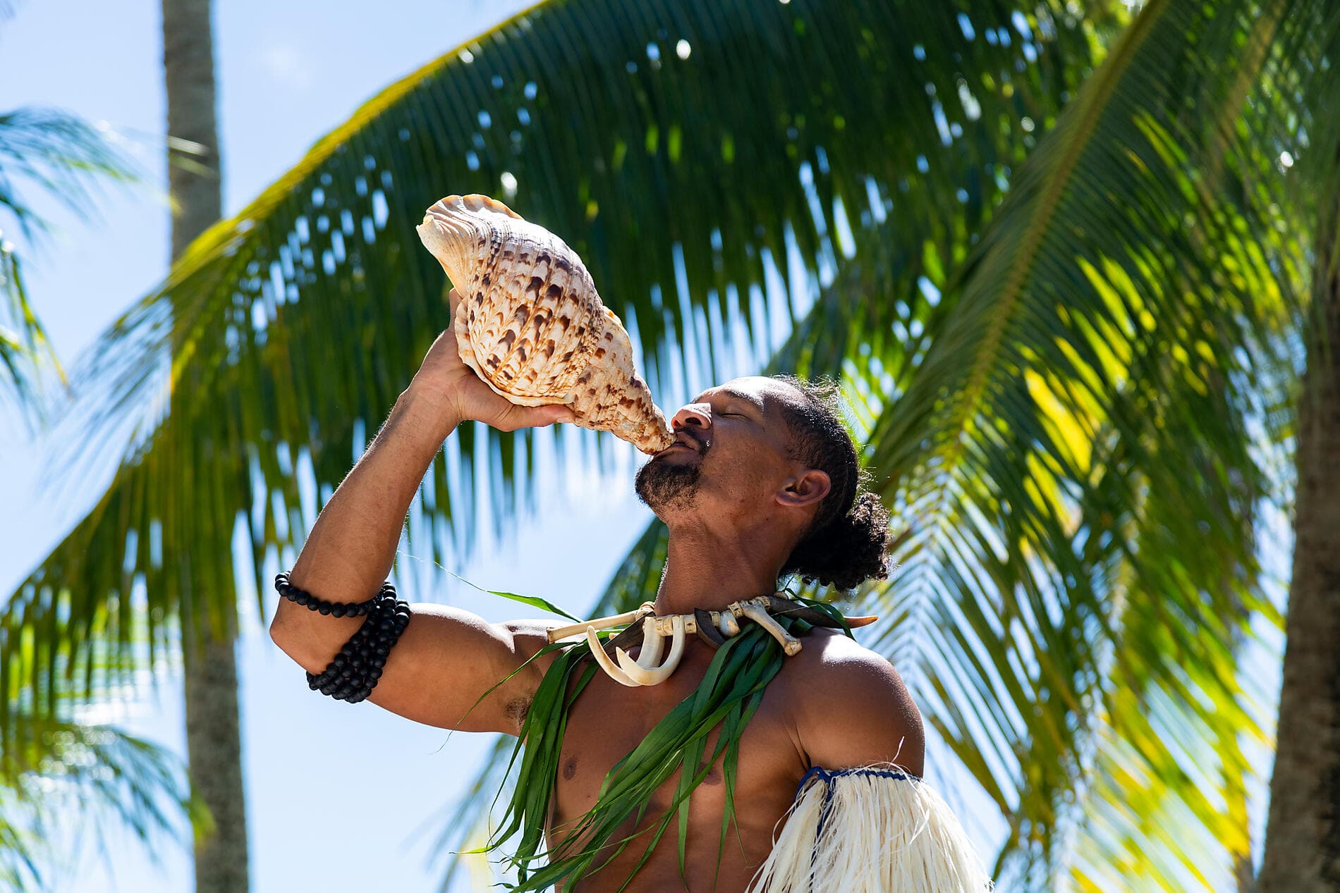 Perles des îles de la Société