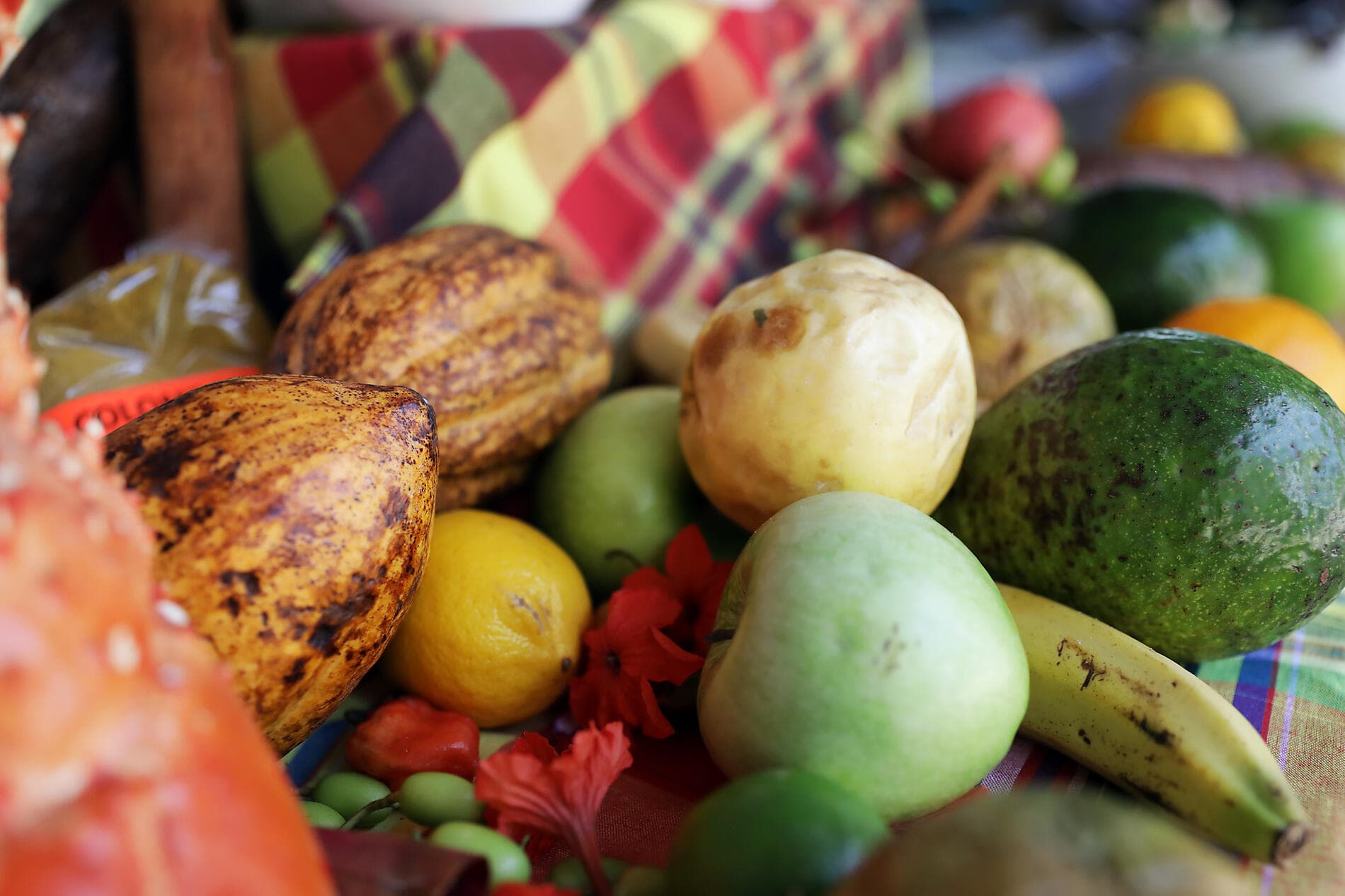 Escapade gastronomique dans les Caraïbes 