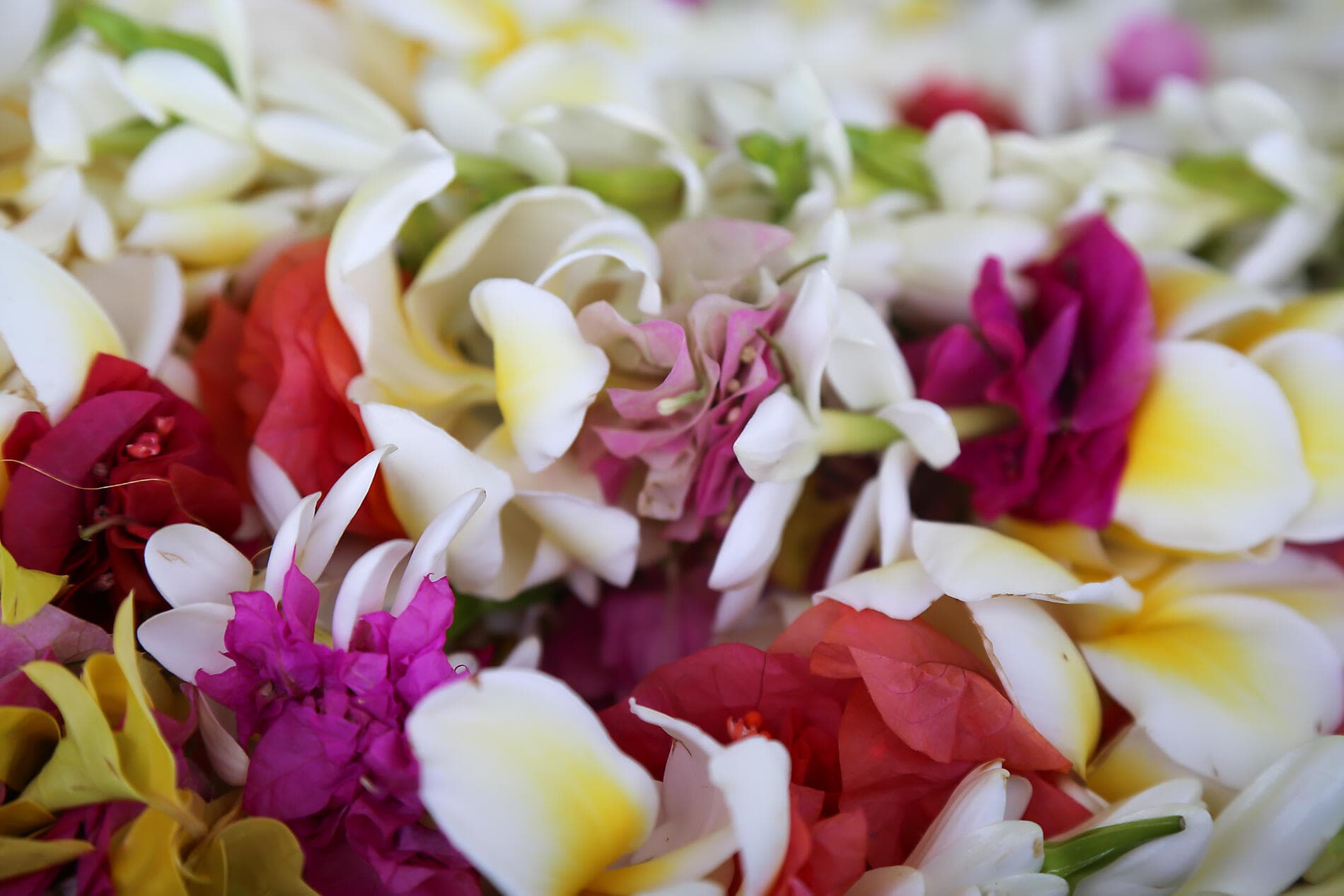 Polynésie française confidentielle et île Pitcairn