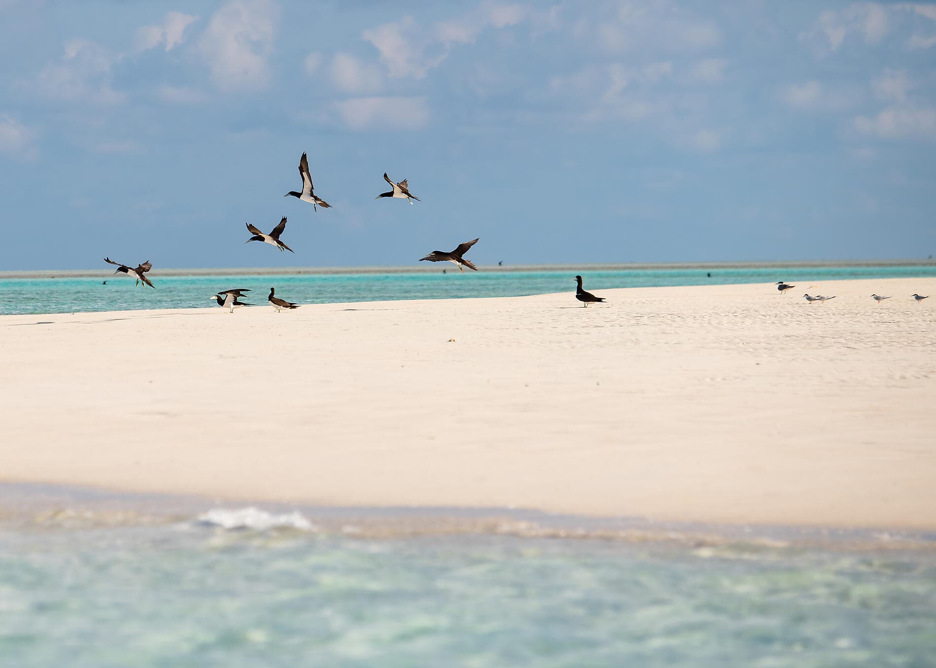 Le Kimberley emblématique