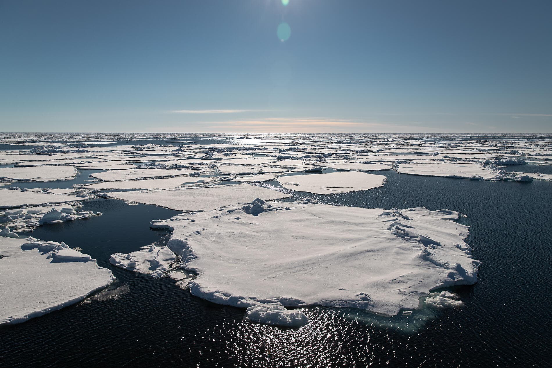 Au cœur des glaces de l'Arctique, du Groenland au Svalbard ©StudioPONANT_Morgane Monneret